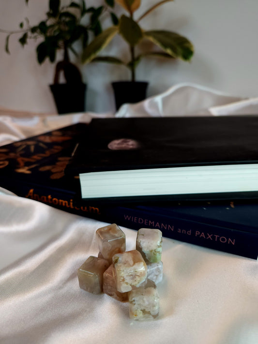 Flower Agate Cube